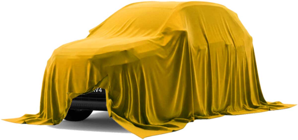 Toyota RAV4 - Eingehüllt