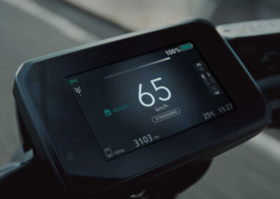 Honda WN7 - 5-Zoll TFT-Display